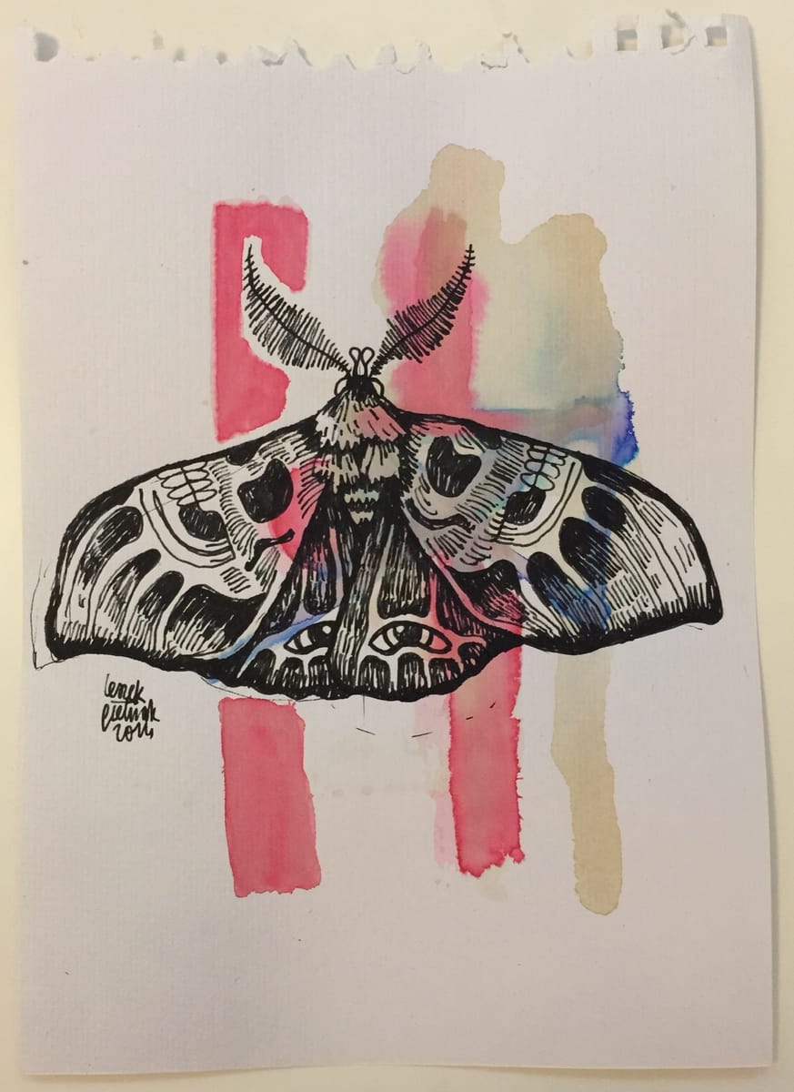 moth-8-2014-poor-quality-photo